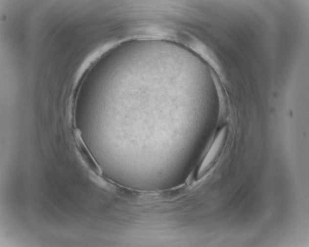 X0000081311477200701251730