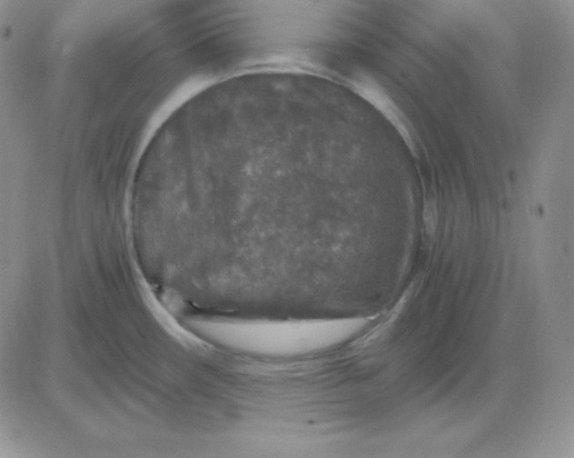 X0000081311482200701251730