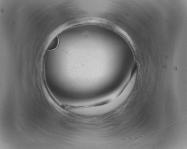 X0000081311483200701251730