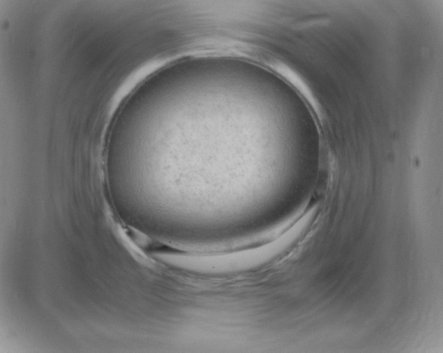 X0000081311485200701251730