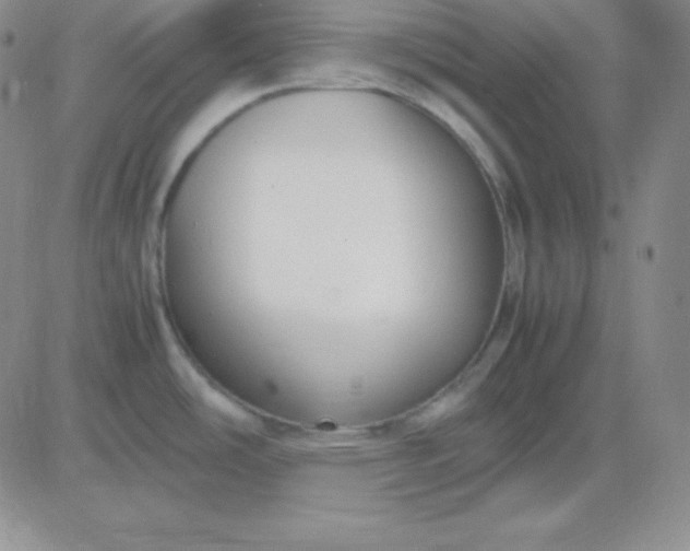 X0000081311486200701251730