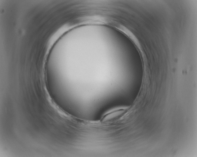 X0000081311488200701251730