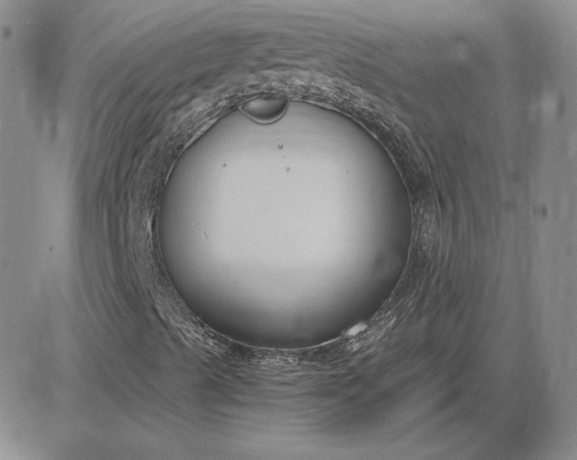 X0000081311489200701251729