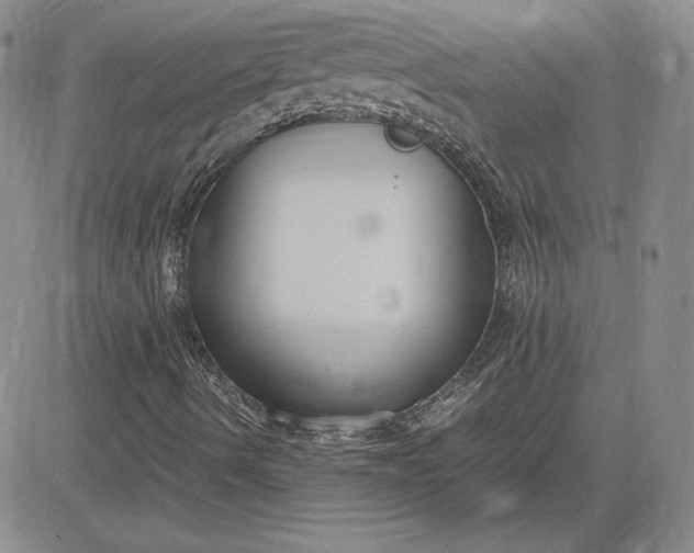 X0000081311490200701251730