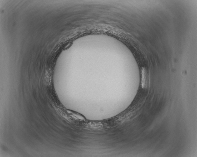 X0000081311491200701251730