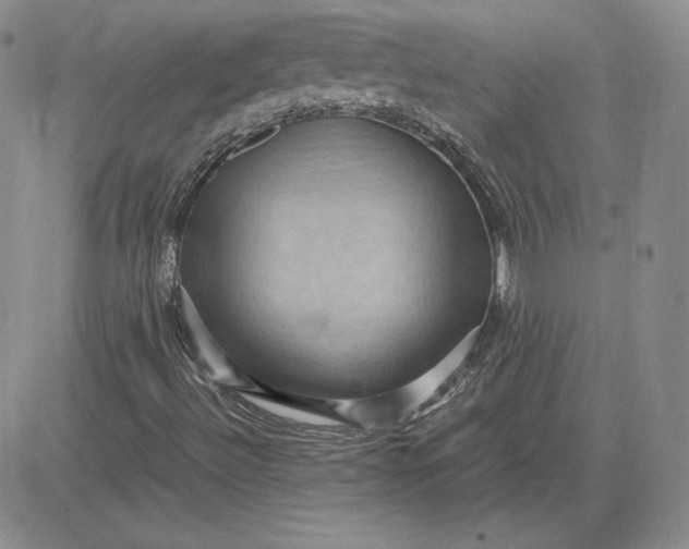 X0000081311492200701251730