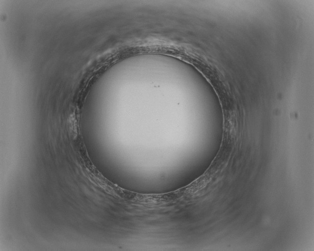 X0000081311493200701251730