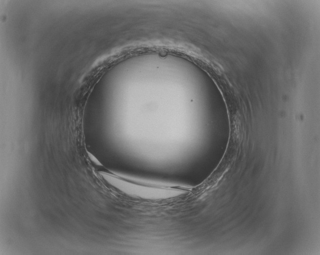 X0000081311494200701251730