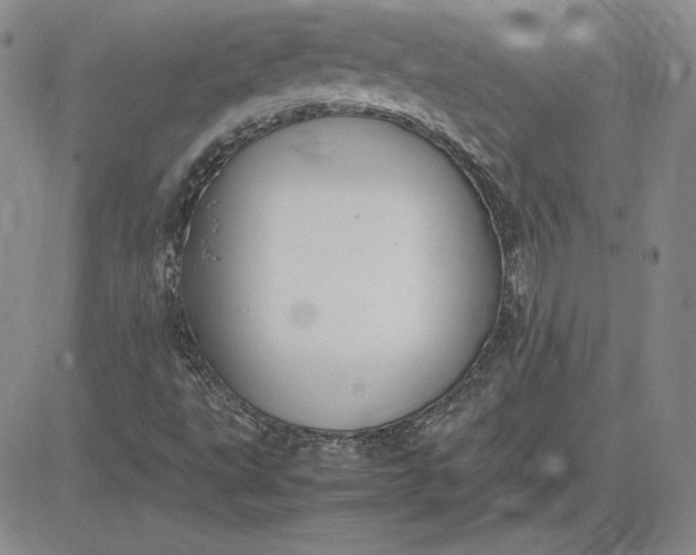 X0000081311495200701251730