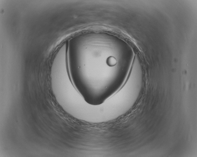 X0000081311496200701251730