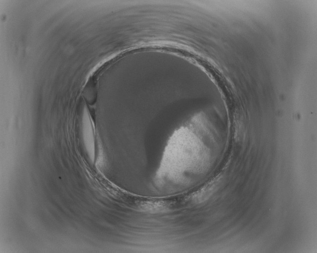 X0000081311497200701251730