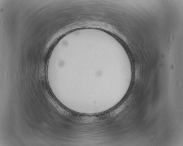 X0000081311498200701251730