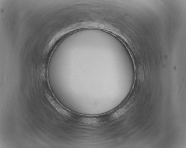 X0000081311499200701251730