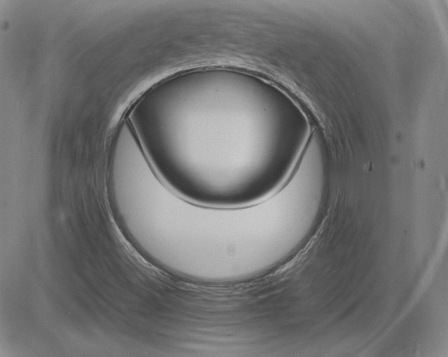 X0000081311500200701251730