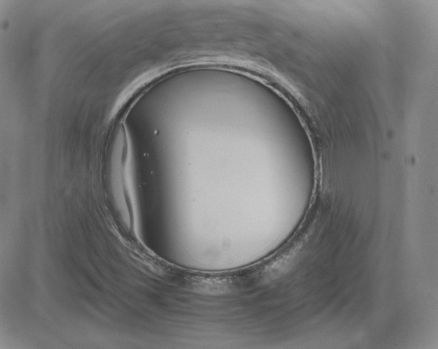 X0000081311501200701251730