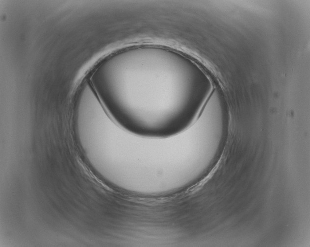 X0000081311502200701251730