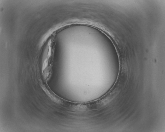 X0000081311503200701251730