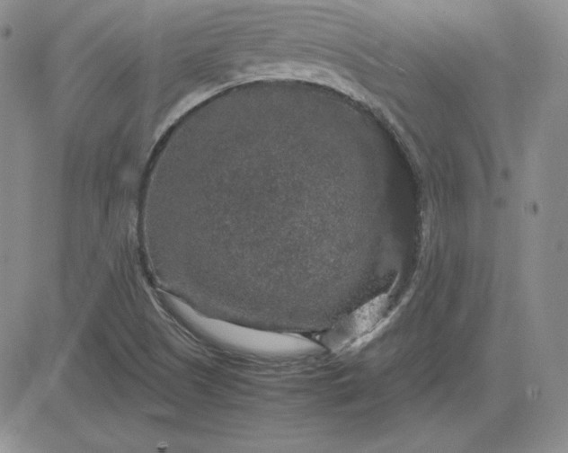 X0000081311505200701251730