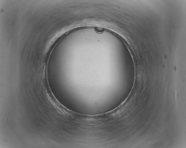 X0000081311507200701251730