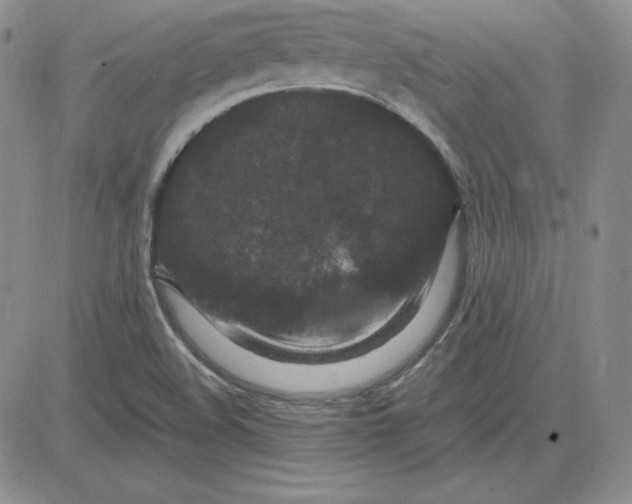 X0000081311508200701251730