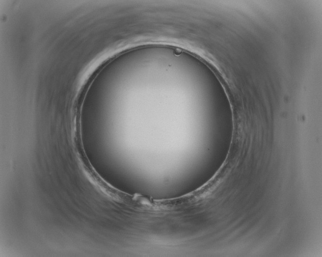 X0000081311511200701251730