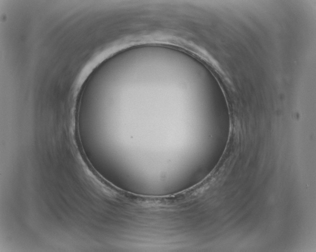 X0000081311512200701251730