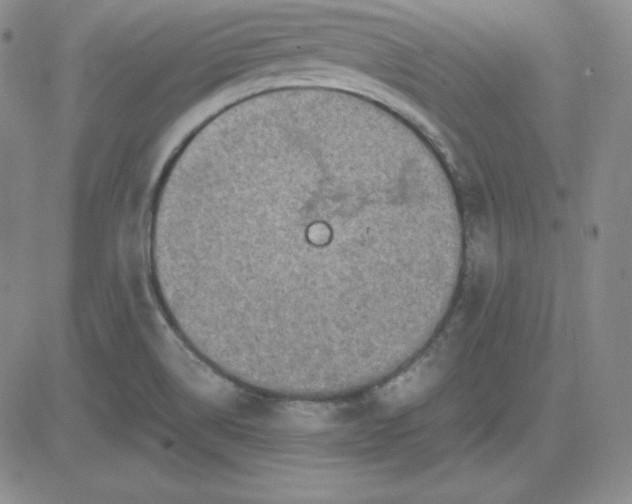 X0000081311514200701251730