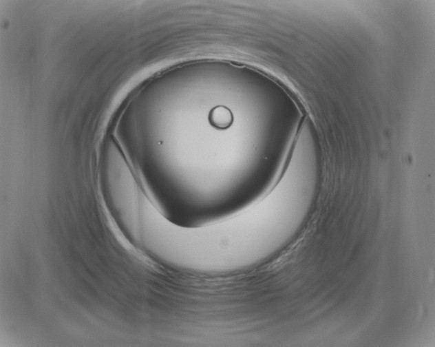 X0000081311515200701251730