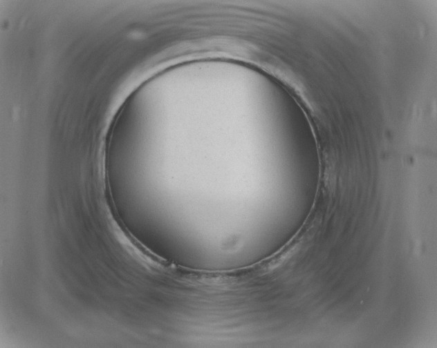 X0000081311516200701251730