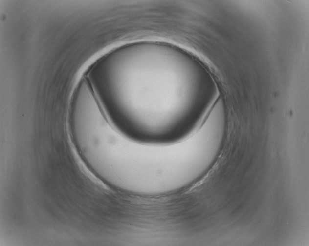 X0000081311518200701251730