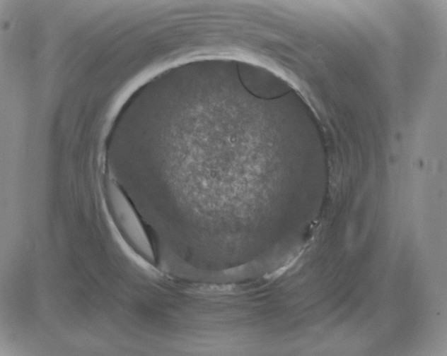 X0000081311519200701251730