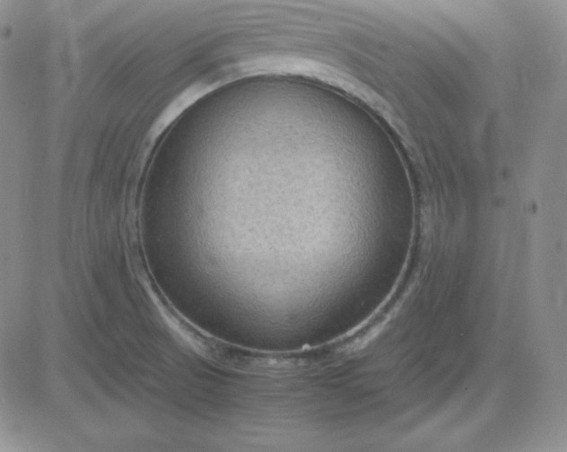 X0000081311521200701251730