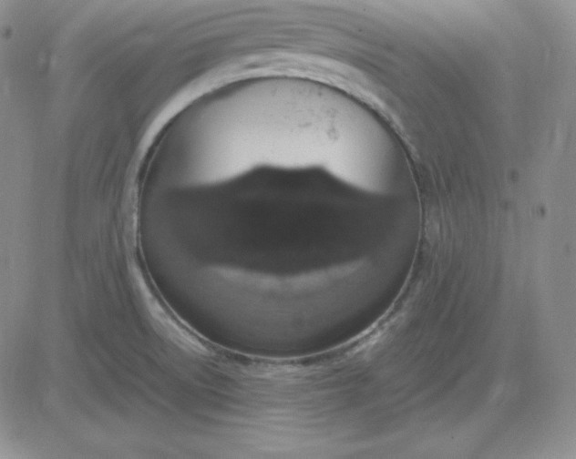 X0000081311522200701251730