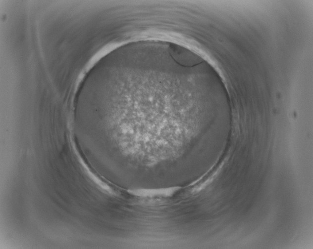 X0000081311525200701251730