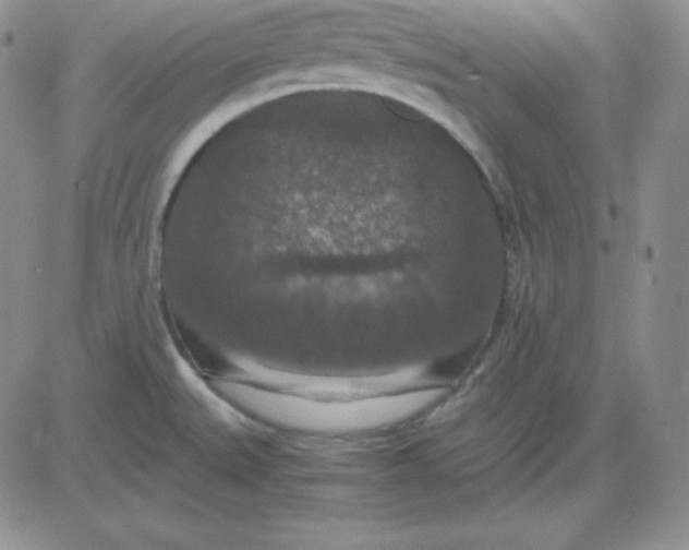 X0000081311527200701251730