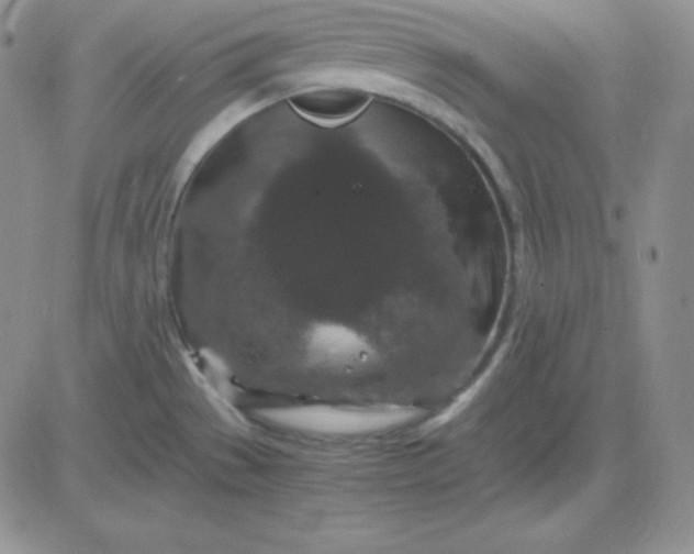 X0000081311529200701251730