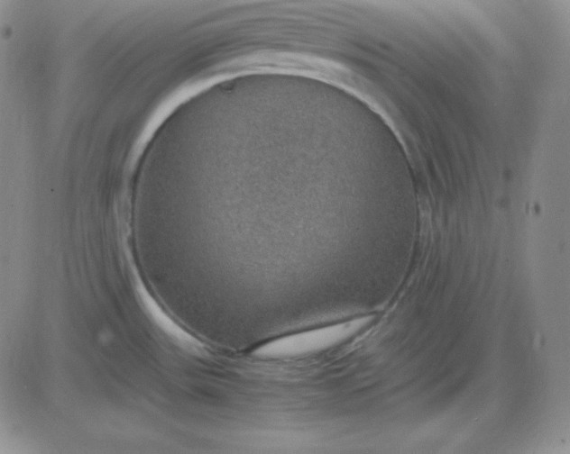 X0000081311531200701251730