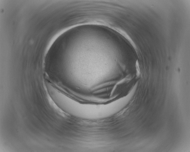 X0000081311532200701251730