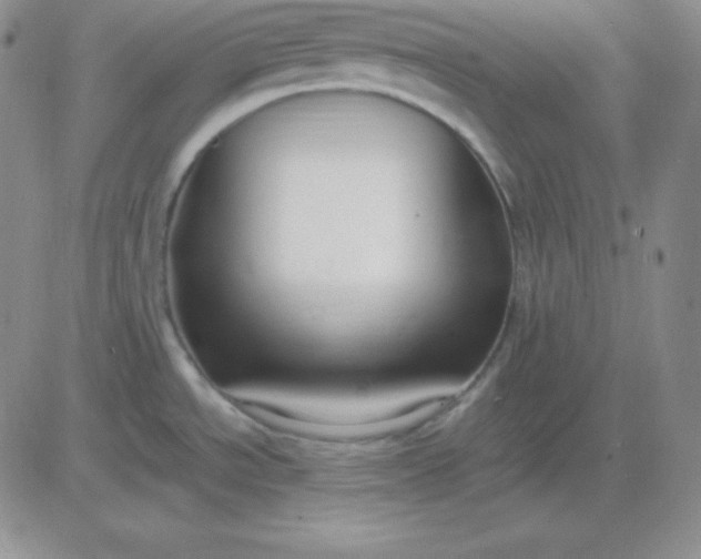 X0000081311534200701251730