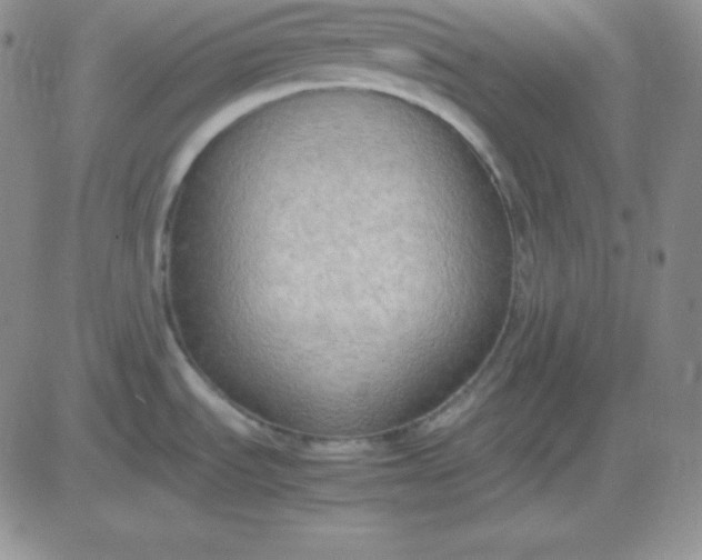 X0000081311535200701251730