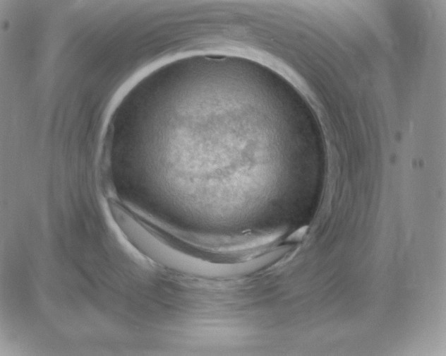 X0000081311536200701251730