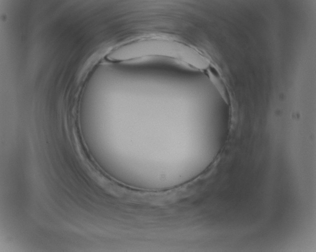 X0000081310001200702012346