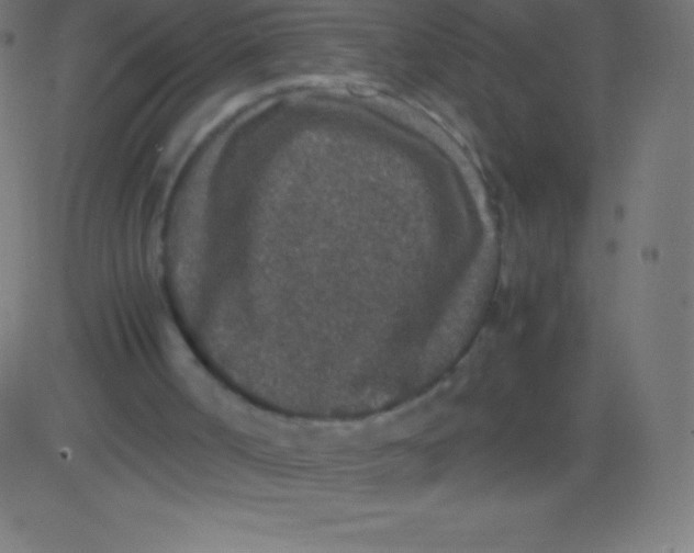 X0000081310002200702012346