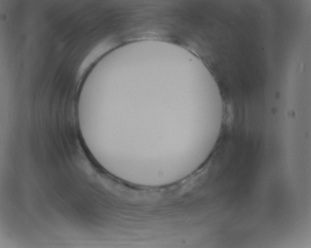 X0000081310004200702012346