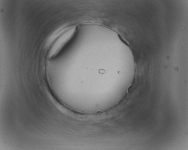 X0000081310005200702012346