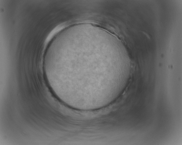 X0000081310006200702012346