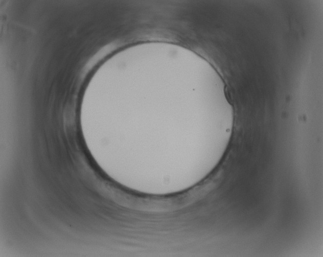 X0000081310008200702012346