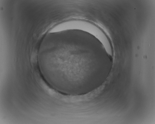 X0000081310009200702012346