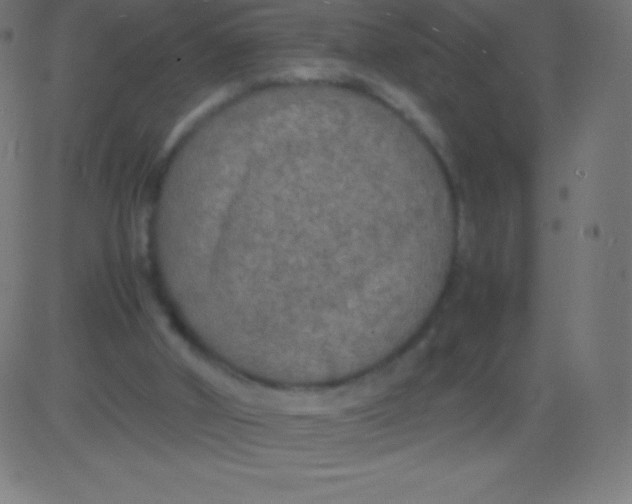 X0000081310010200702012346