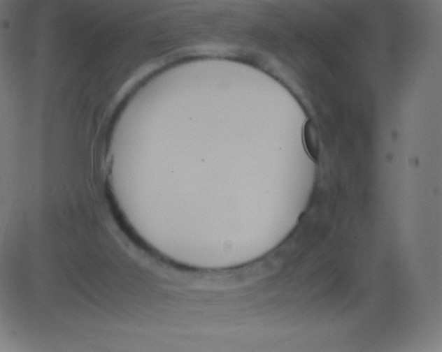 X0000081310011200702012346